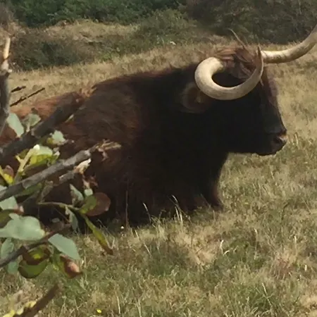 בית נופש Atelier Zonnehoek ברחן
